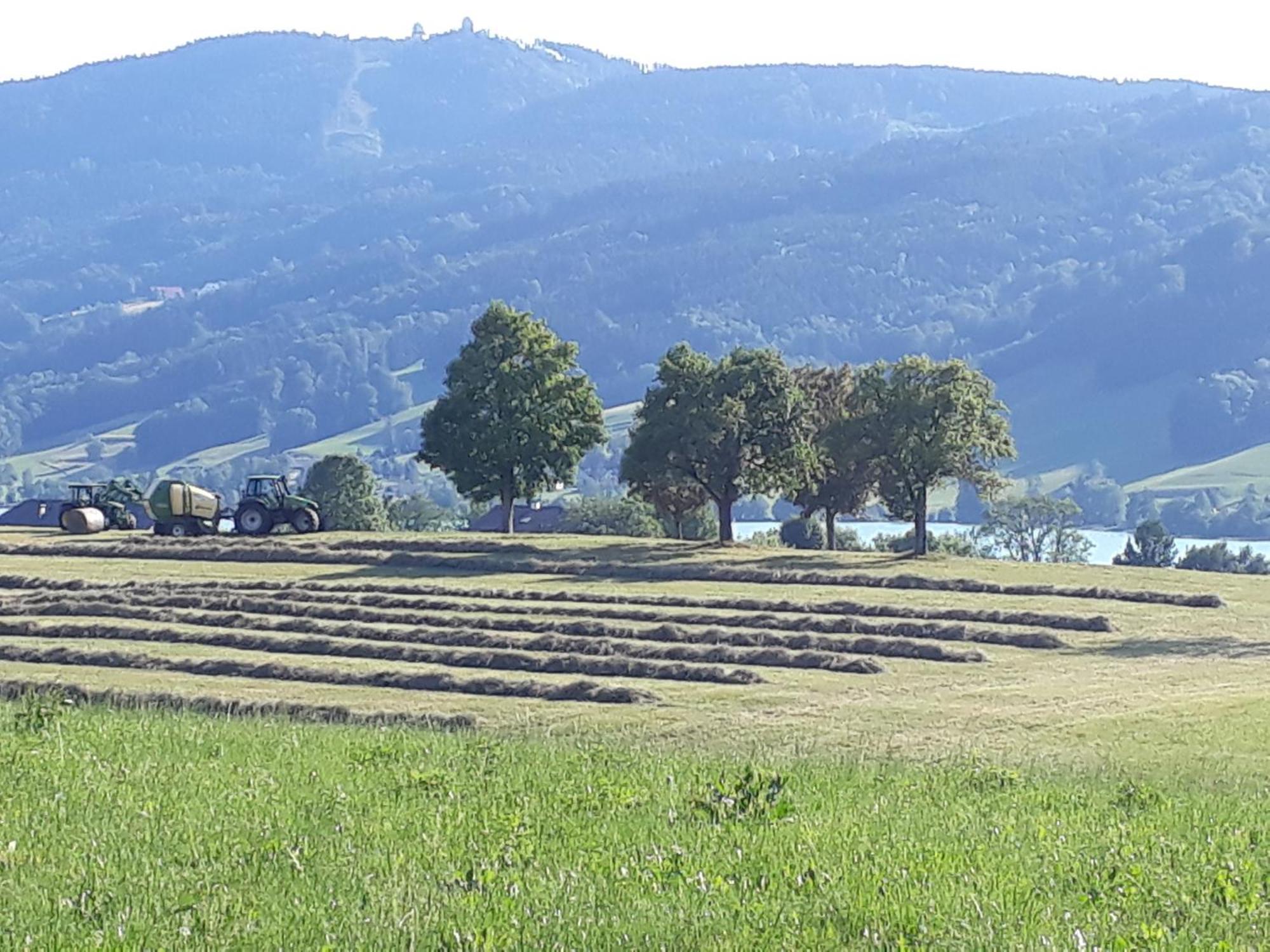 Apartmán Hideaway Zell am Moos Exteriér fotografie